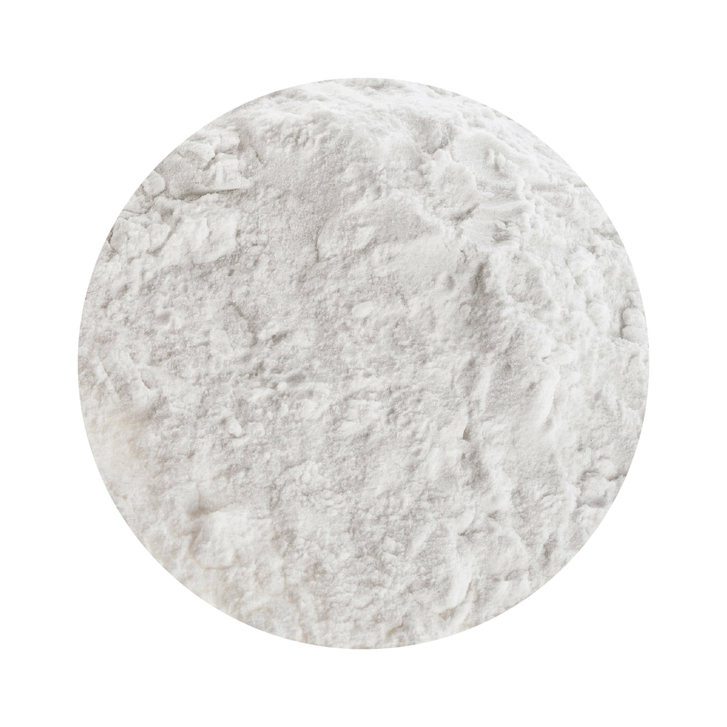 Organic Coconut Water Powder - 5lb from Earth Circle Organics